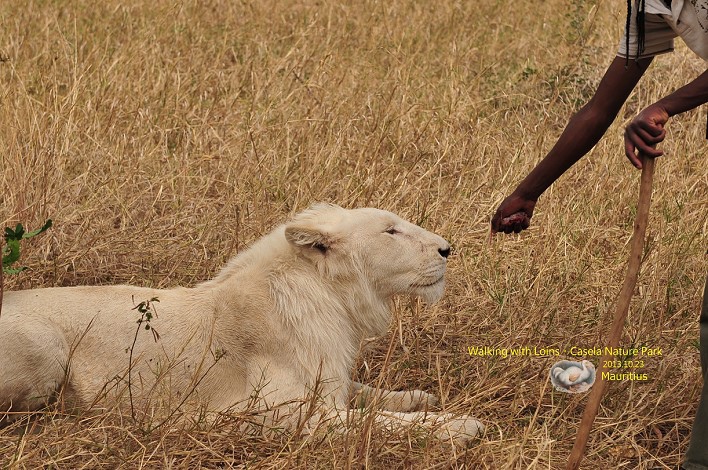 DSC_6820 DSC_6820