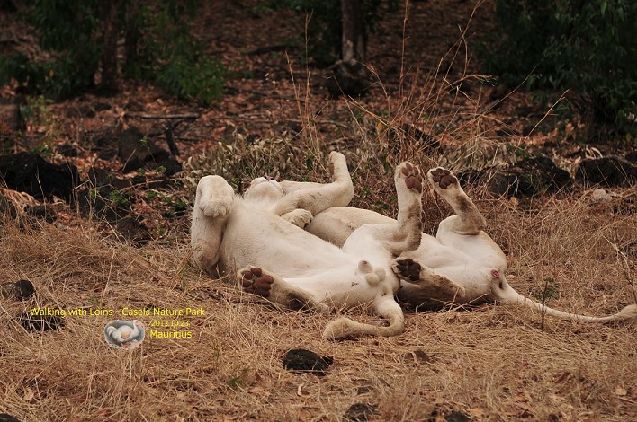 DSC_6856 DSC_6856