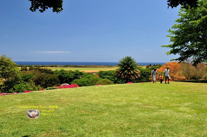 DSC_6974 DSC_6974