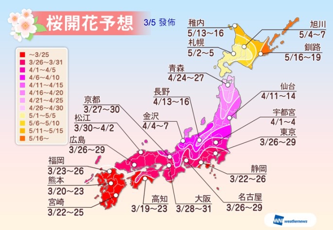 sakura1.jpg sakura1.jpg