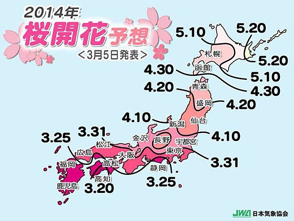 sakura3.jpg sakura3.jpg