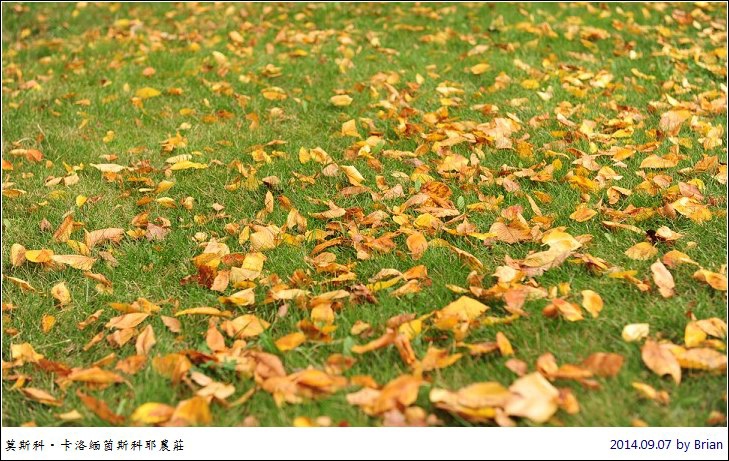 DSC_1645 DSC_1645