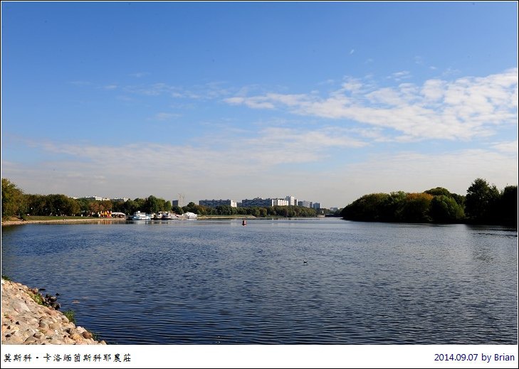 DSC_1731 DSC_1731