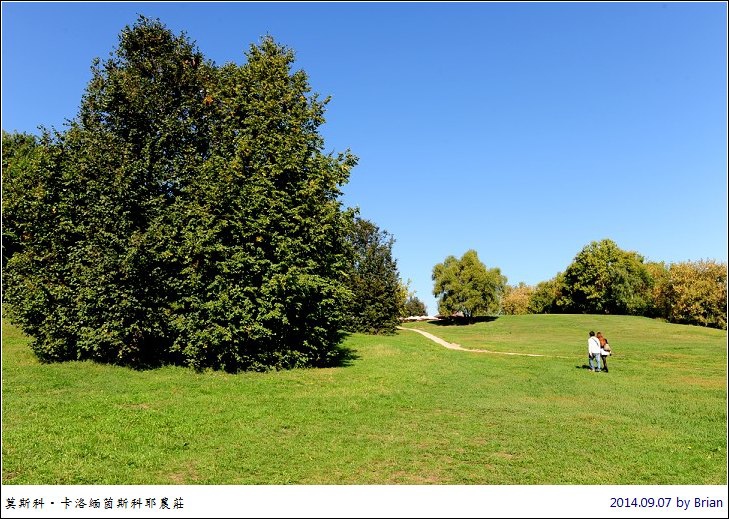 DSC_1737 DSC_1737