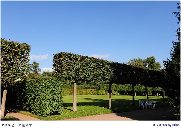 DSC_2110 DSC_2110