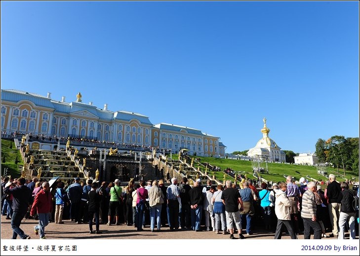 DSC_2390 DSC_2390