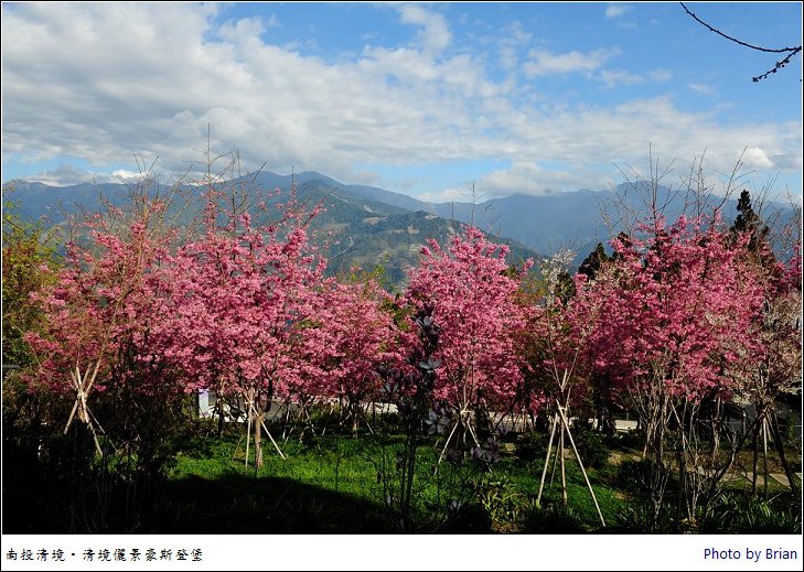 DSC_4849 DSC_4849