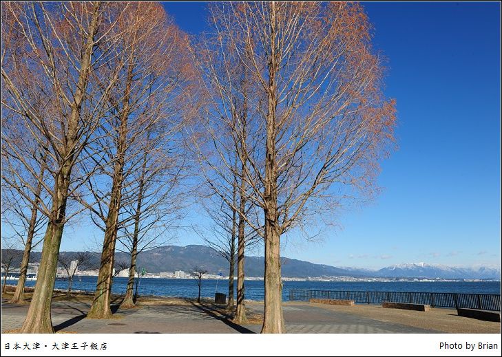 DSC_2890 DSC_2890