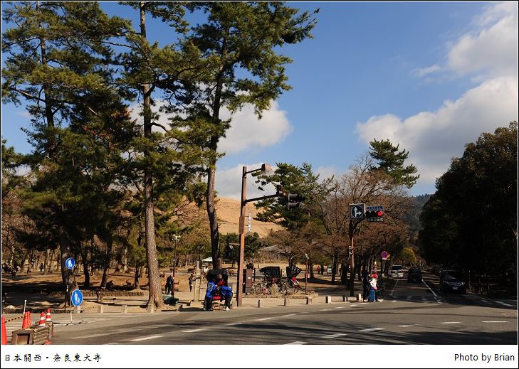 DSC_3039 DSC_3039