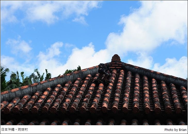 DSC_9567 DSC_9567