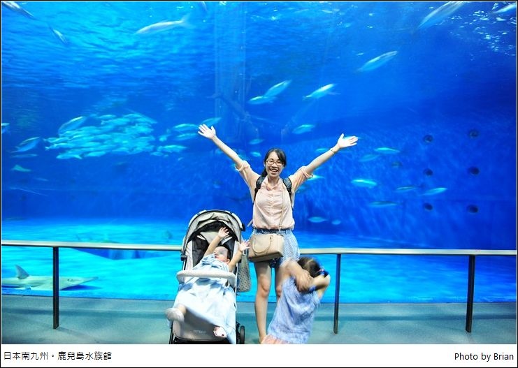日本南九州鹿兒島親子景點 鹿兒島水族館看鯨鯊 海豚 布萊恩 觀景窗看世界 美麗無限 痞客邦 日本南九州鹿兒島親子景點 鹿兒島水族館看鯨鯊 海豚 布萊恩 觀景窗看世界 美麗無限 痞客邦