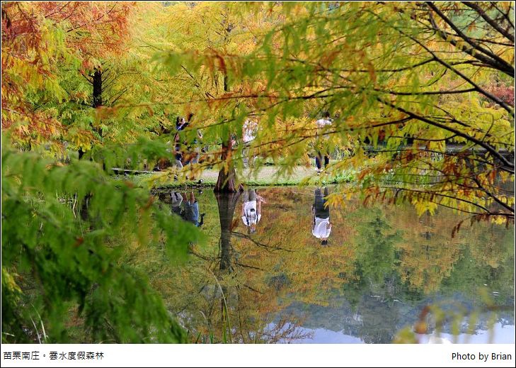 DSC_4809.jpg DSC_4809.jpg
