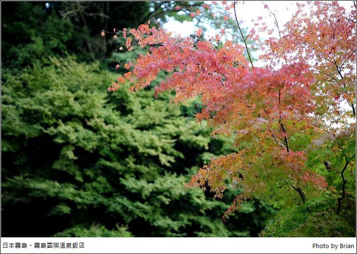 DSC_3259 DSC_3259