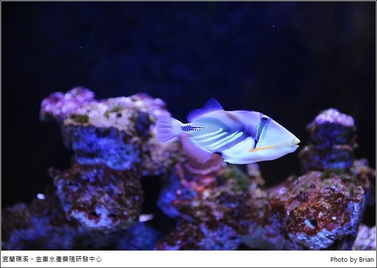 DSC_8904 DSC_8904
