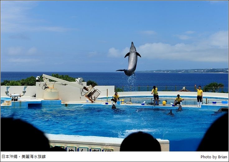 DSC_0533.jpg DSC_0533.jpg