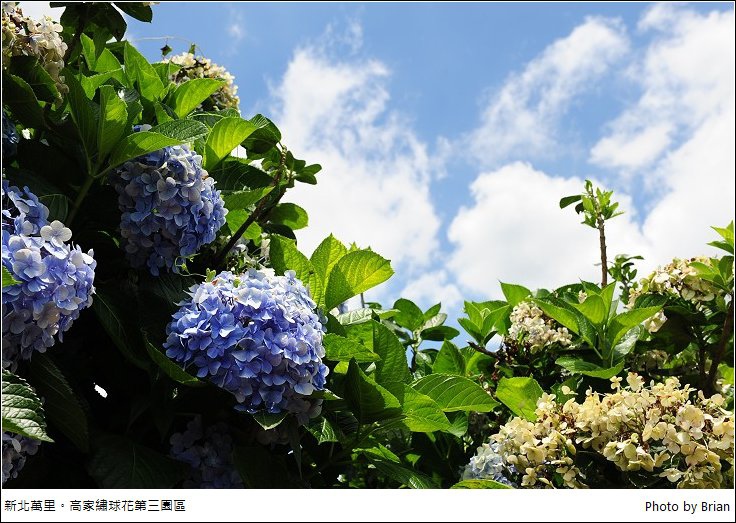 DSC_7729.jpg DSC_7729.jpg