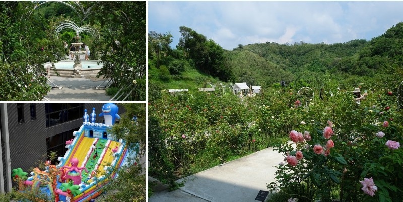 山中秘密玫瑰花園,免門票免費親子遊樂設施好玩又好拍