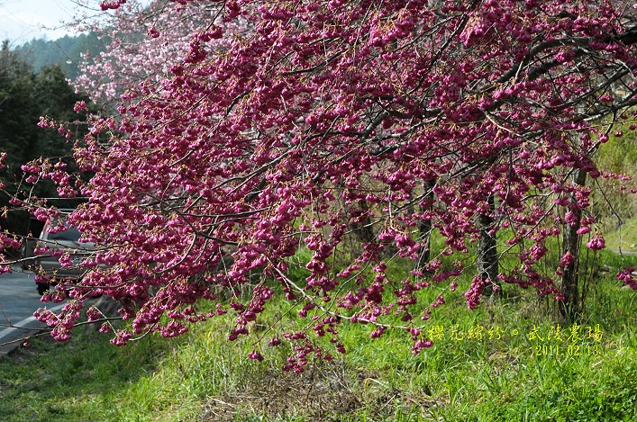 DSC_6284.jpg DSC_6284.jpg