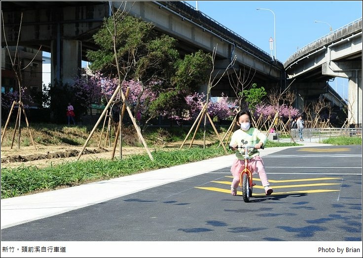 新竹頭前溪畔自行車道櫻花 左岸美麗櫻花盛開 搭配小朋友滑步車場 布萊恩 觀景窗看世界 美麗無限 痞客邦