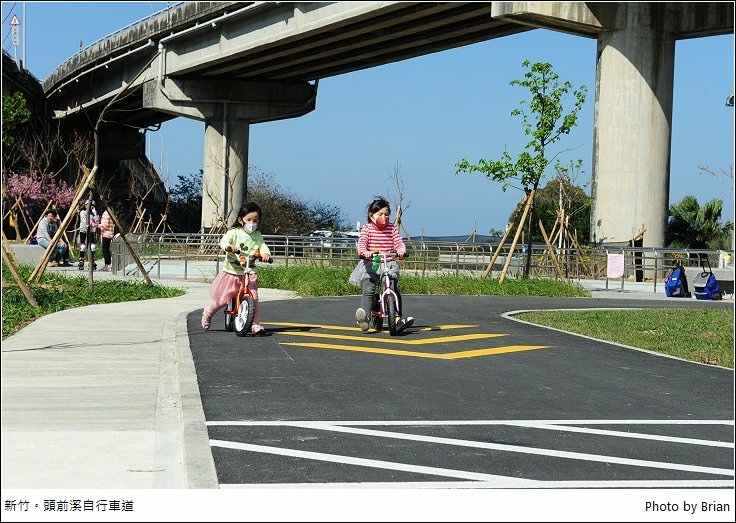 新竹頭前溪畔自行車道櫻花 左岸美麗櫻花盛開 搭配小朋友滑步車場 欣傳媒