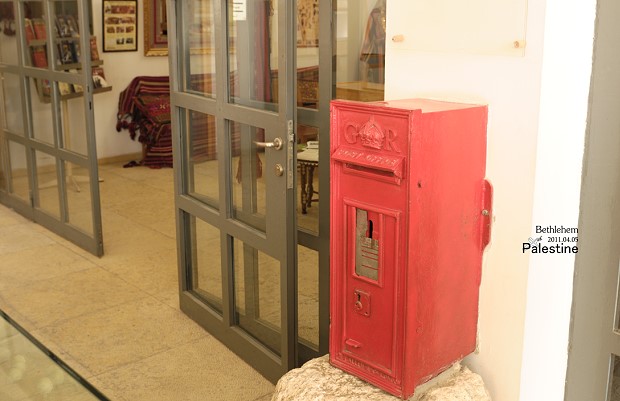 DSC_7982.jpg DSC_7982.jpg