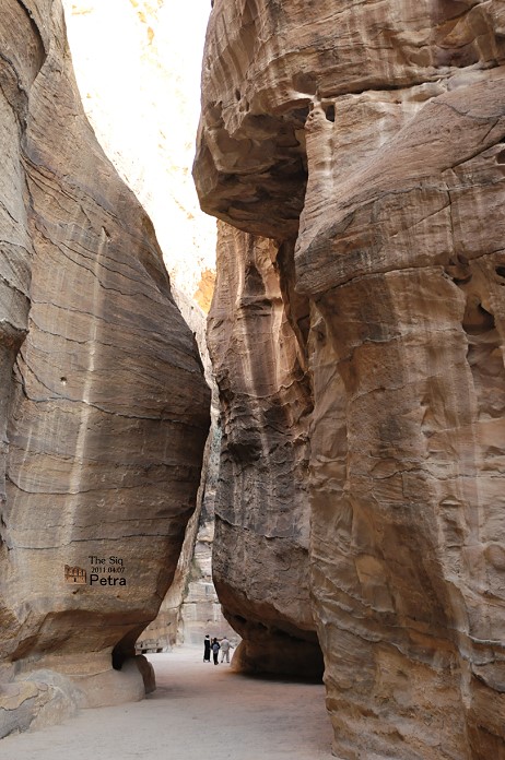 DSC_8456.jpg DSC_8456.jpg