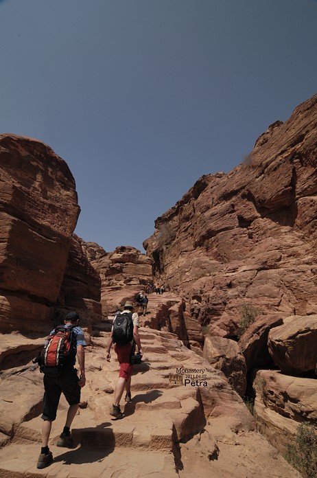 DSC_8772.jpg DSC_8772.jpg