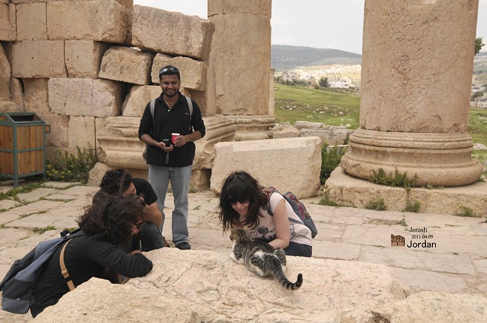 DSC_9504.jpg DSC_9504.jpg