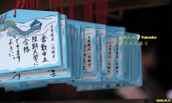 DSC_2564.jpg DSC_2564.jpg