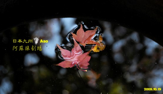 DSC_3071.jpg DSC_3071.jpg