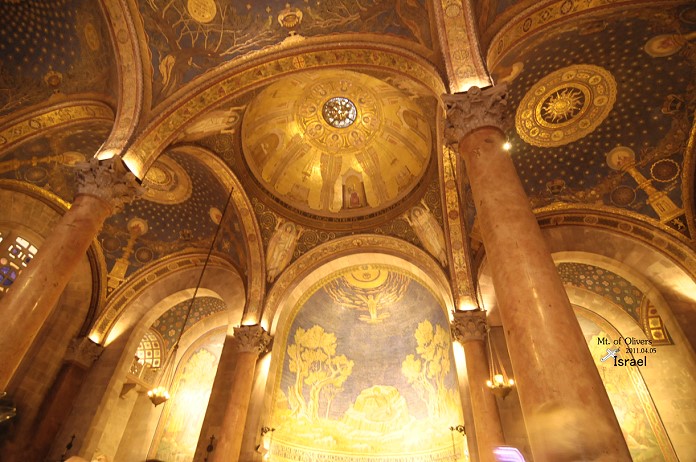 DSC_8119.jpg DSC_8119.jpg
