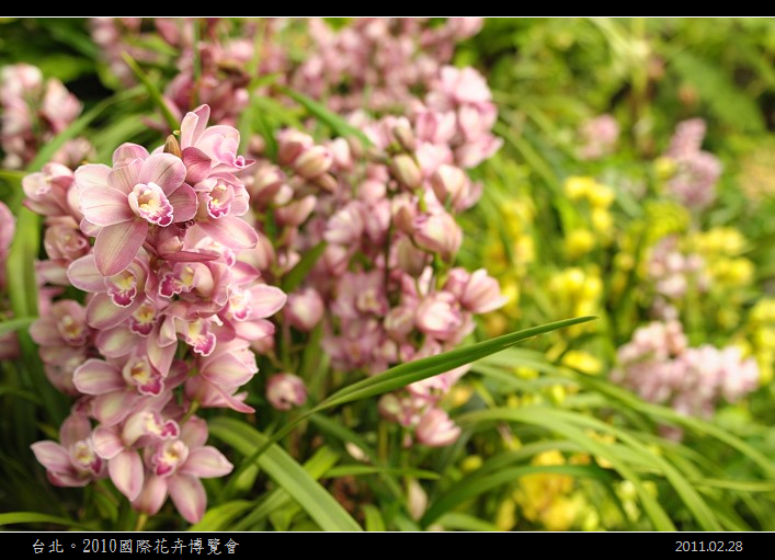 DSC_7065.jpg DSC_7065.jpg