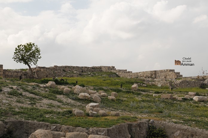 DSC_9577.jpg DSC_9577.jpg