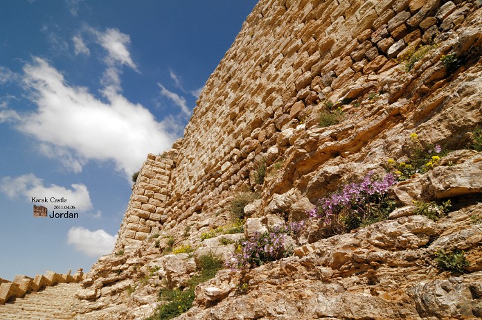 DSC_8319.jpg DSC_8319.jpg