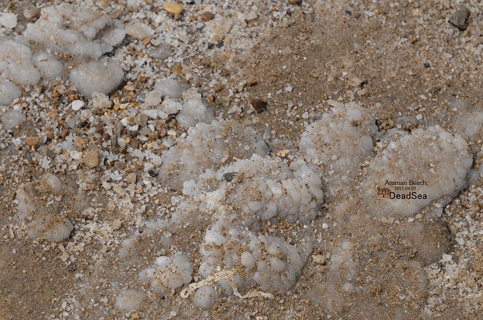 DSC_7277.jpg DSC_7277.jpg