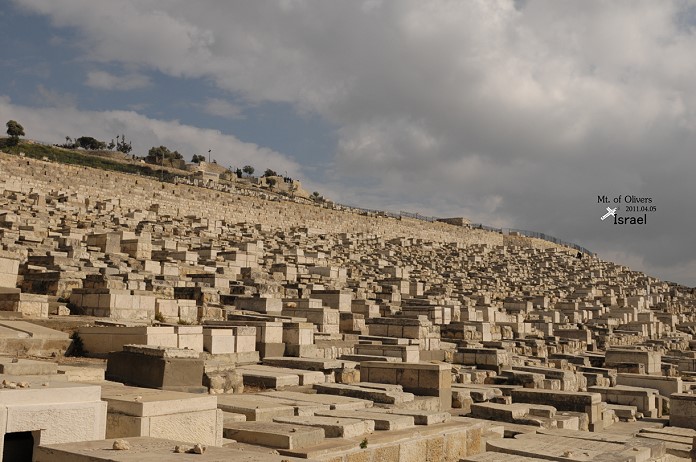 DSC_8123.jpg DSC_8123.jpg