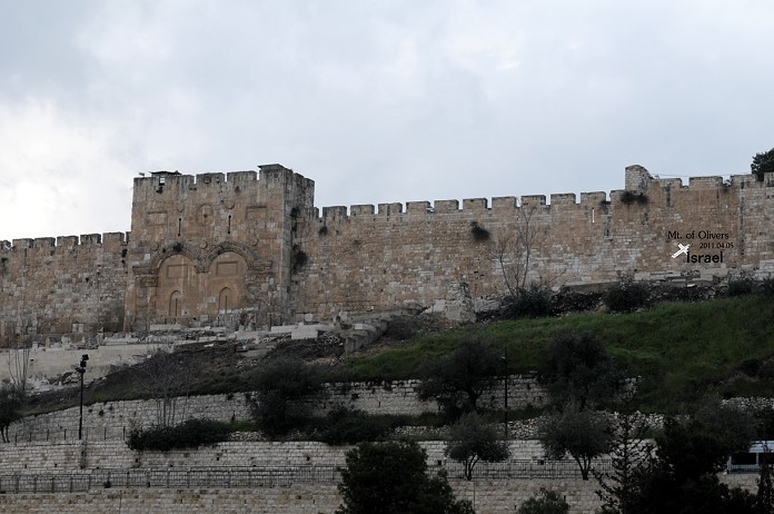 DSC_8158.jpg DSC_8158.jpg