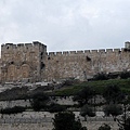 DSC_8158.jpg