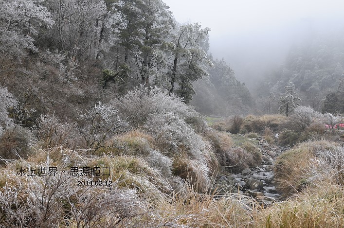 DSC_6135.jpg DSC_6135.jpg