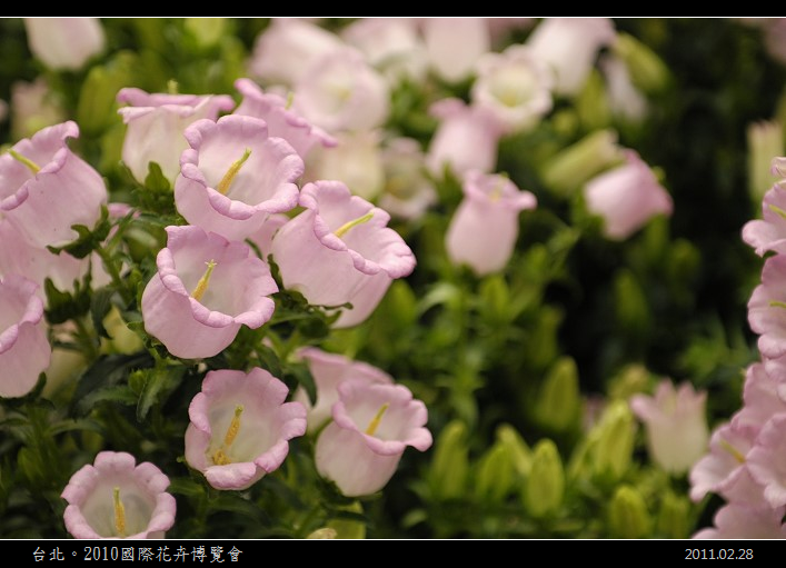 DSC_7060.jpg DSC_7060.jpg