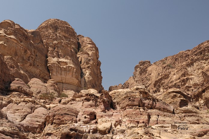 DSC_8787.jpg DSC_8787.jpg