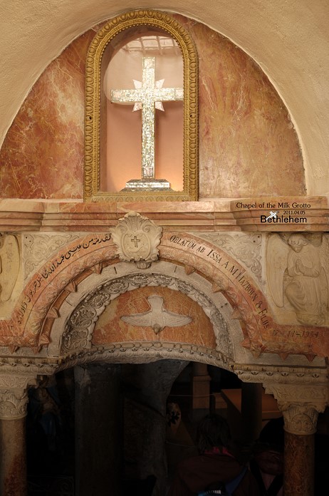 DSC_7964.jpg DSC_7964.jpg