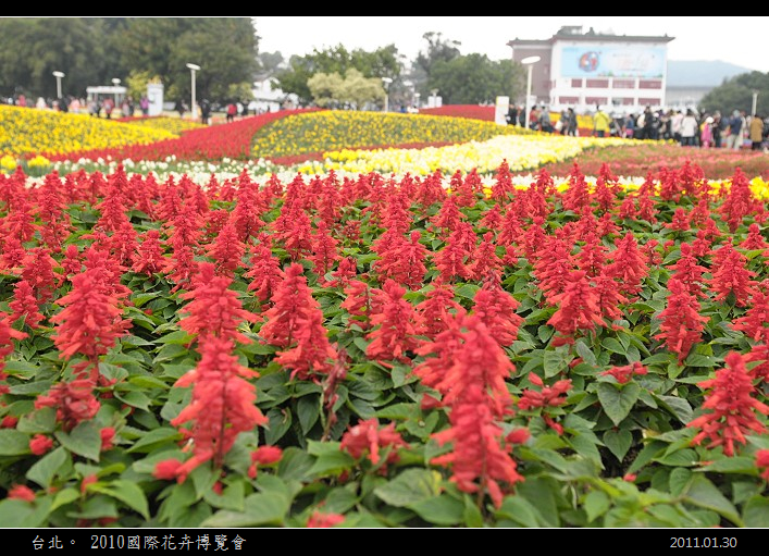DSC_5875.jpg DSC_5875.jpg