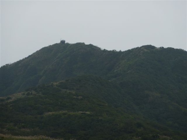 龜山島 環海活動