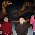 中正紀念堂：恐龍展與達文西展覽館