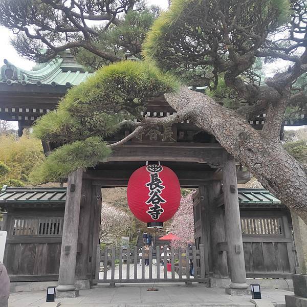 day5 鎌倉散策