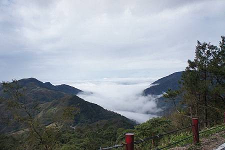 雪見地區雲海