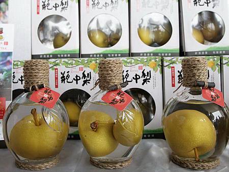 東勢區梨產業新創培育瓶中梨顆顆皆辛苦