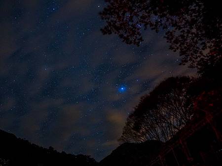 八仙山森林遊樂區星光燦爛