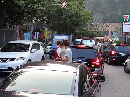 新社、和平大車拚！花海壅塞、泡湯爆滿